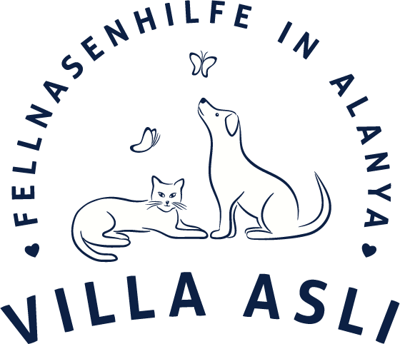 Fellnasenhilfe Villa Asli ❤ Tierschutzverein in Alanya